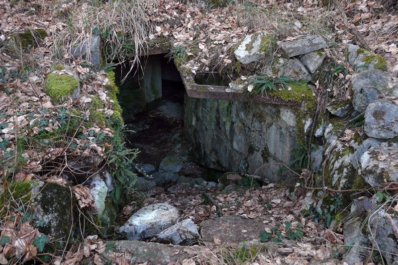 P20.jpg