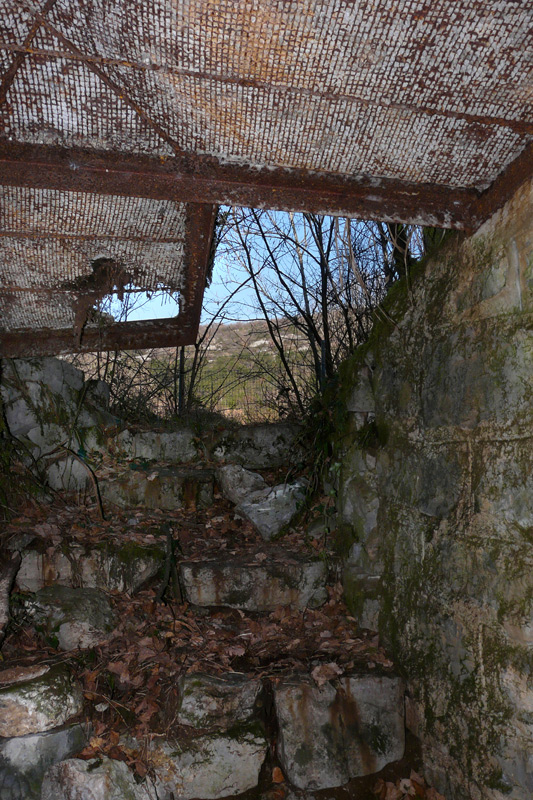 P21.jpg