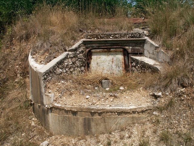 c2.JPG