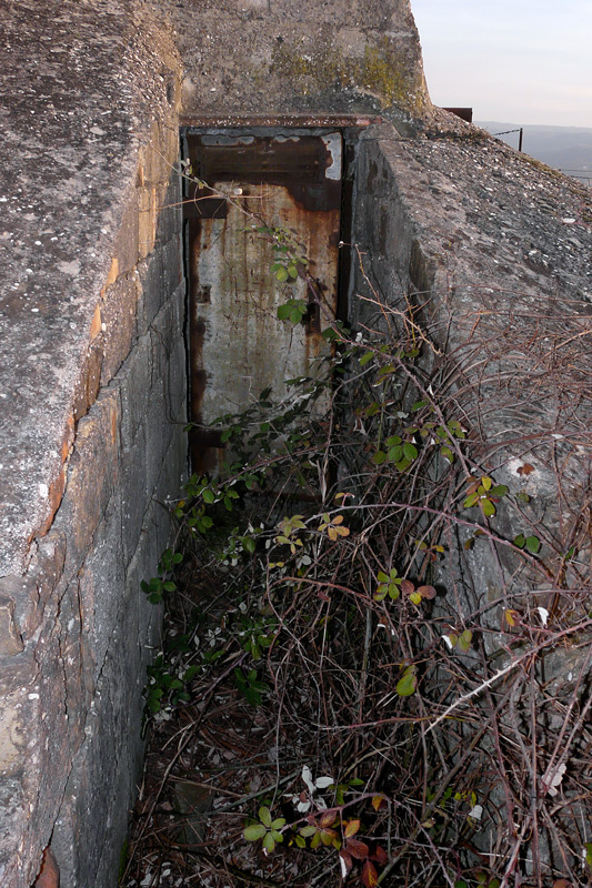 c02.jpg