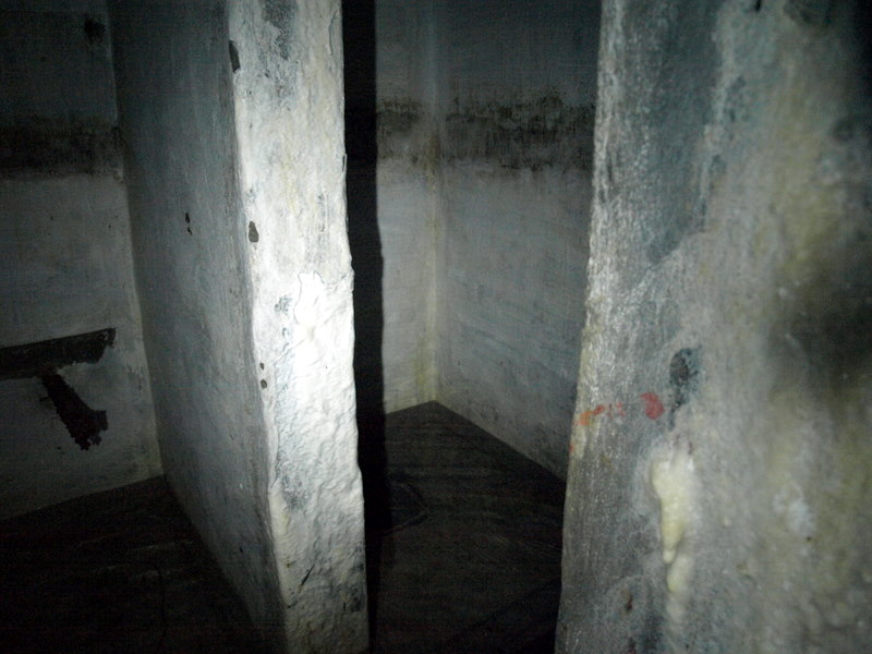 08135956.JPG