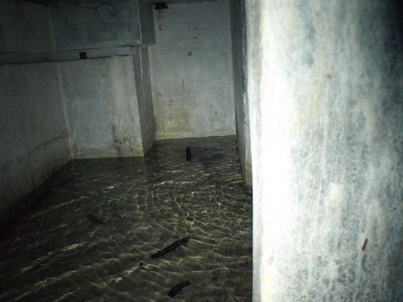 08135957.JPG