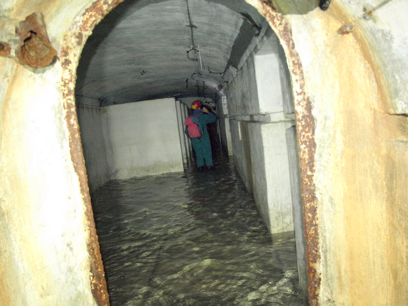 08135958.JPG
