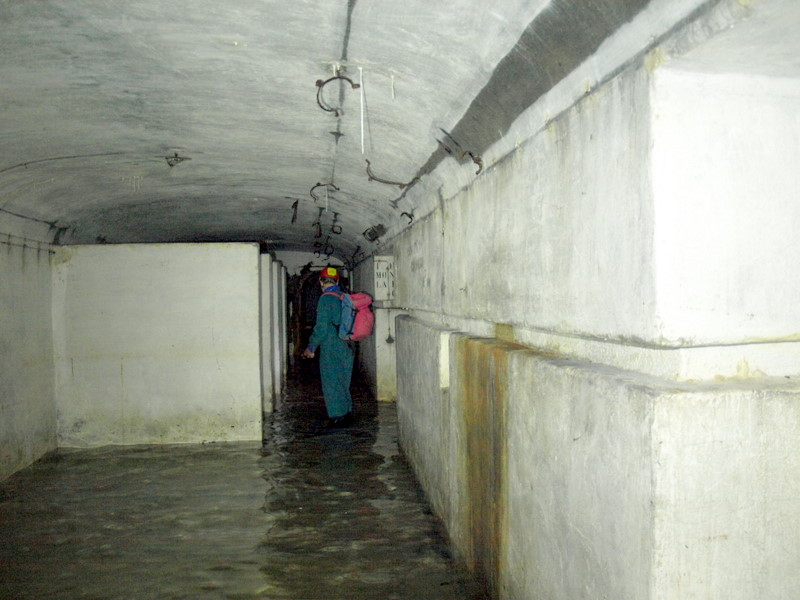 08135959.JPG