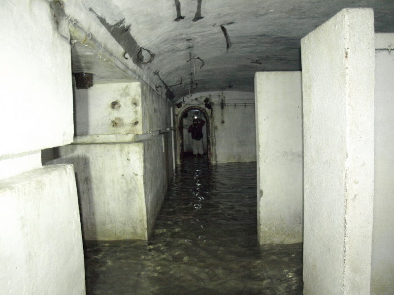 08135962.JPG