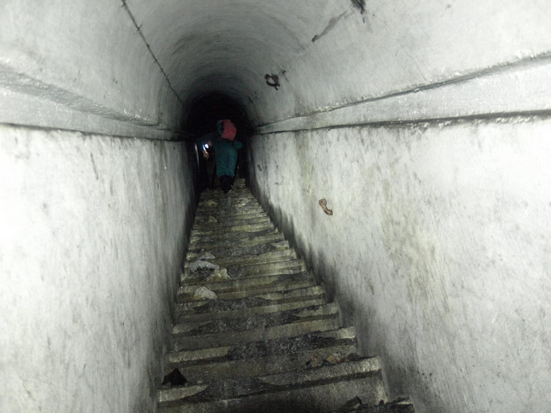 08135965.JPG