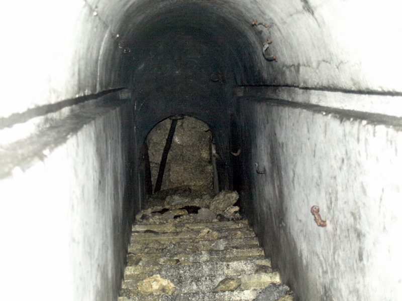 08135966.JPG
