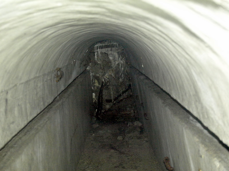 08135971.JPG