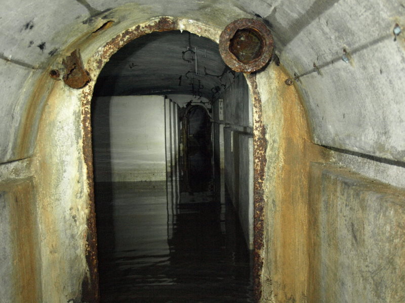 08135984.JPG