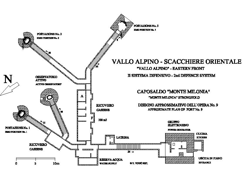 Viste le condizioni, questa pianta e' molto approssimativa.