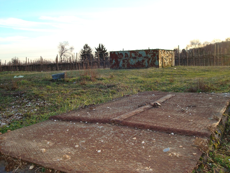 Borgnano 2 - M dettaglio.JPG