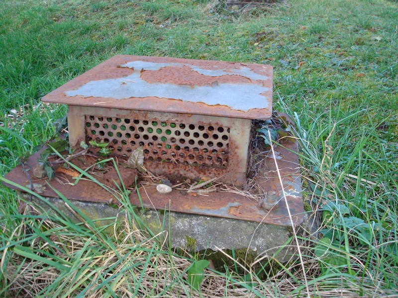 Borgnano 9 - dettaglio fungo.JPG
