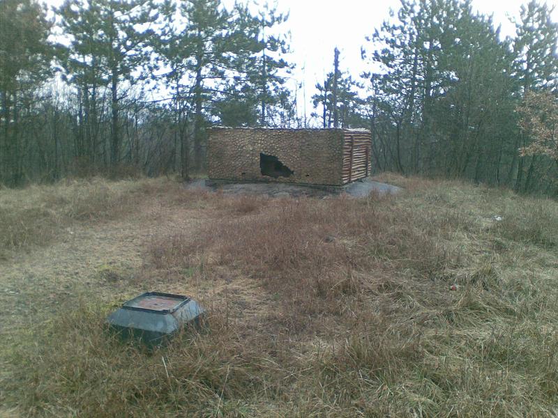 22022010(003).JPG