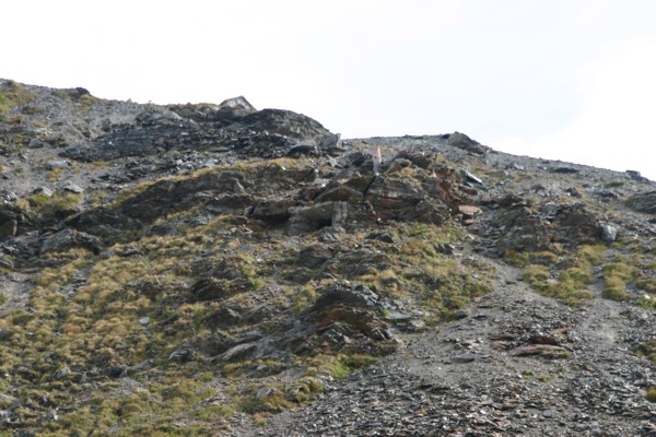 foto postazione allo Stelvio