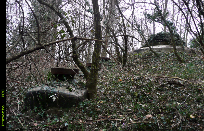 Prepotto-010.jpg