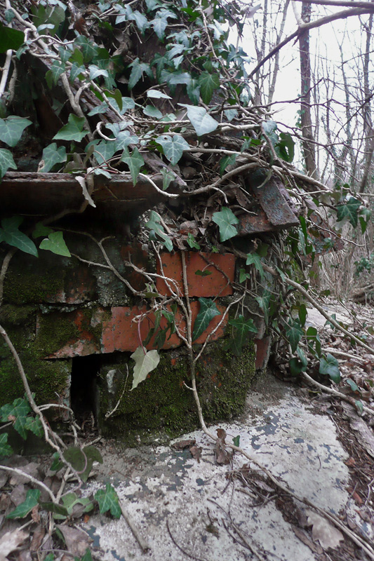 Prepotto-011.jpg