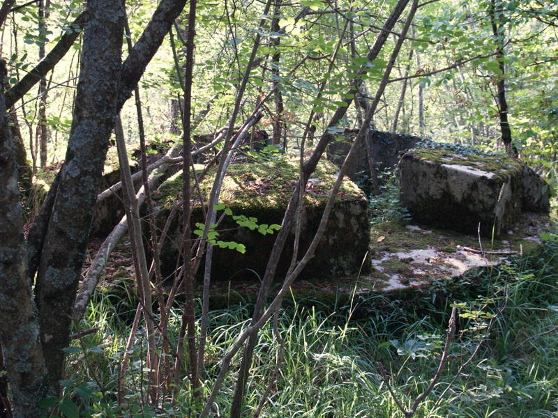 P2290227.JPG