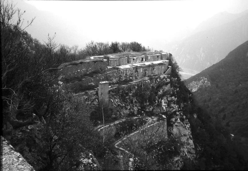 Img1481-1.JPG