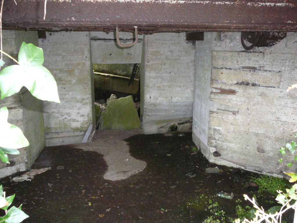 P1140336.JPG