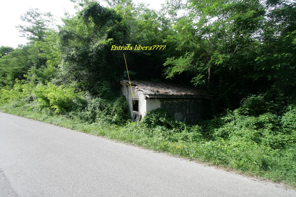 prepotto.JPG