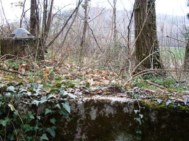 SDC10430.JPG