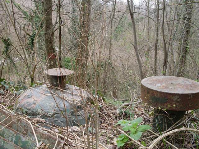 SDC10412.JPG