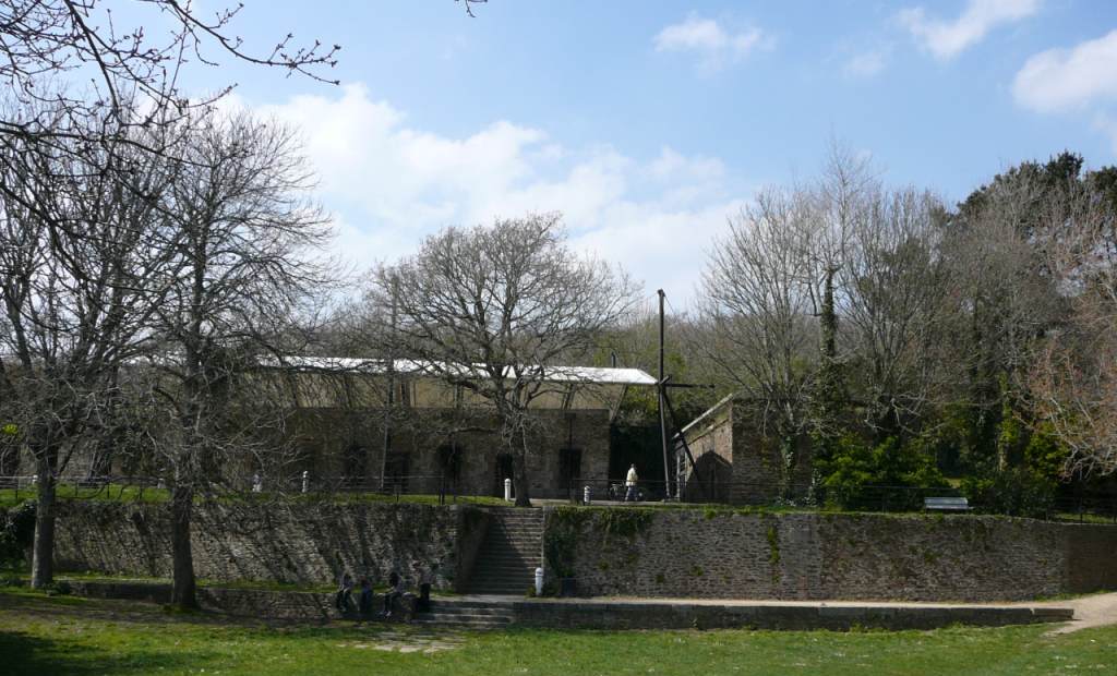 Il &quot;giardino&quot; interno