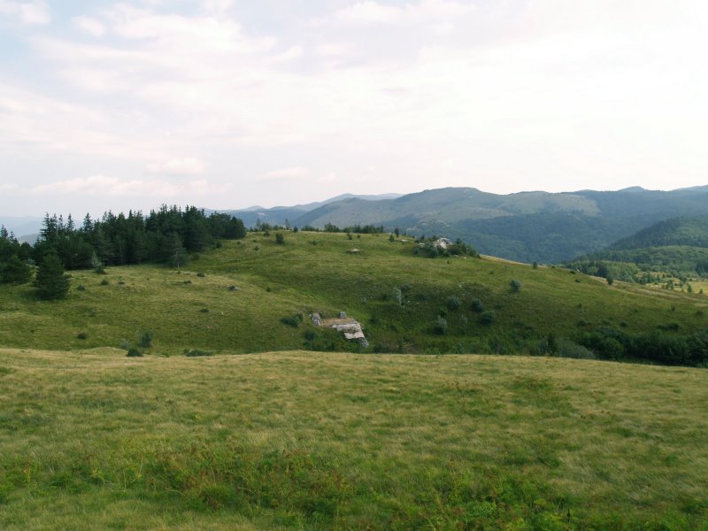 P8171225.JPG