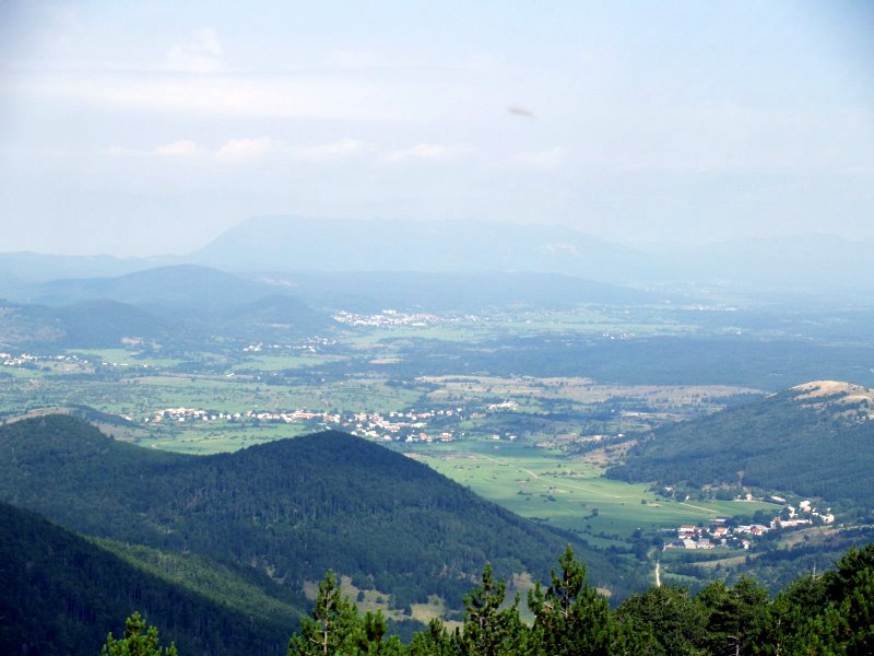 P8171252.JPG