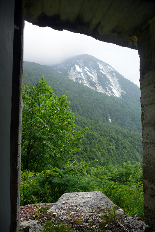 03.jpg