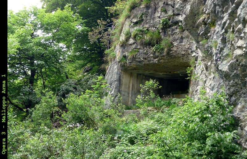 04.jpg