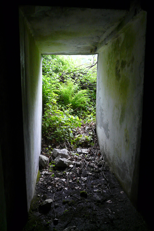 06.jpg