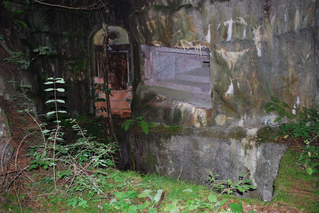 DSC_0851.JPG