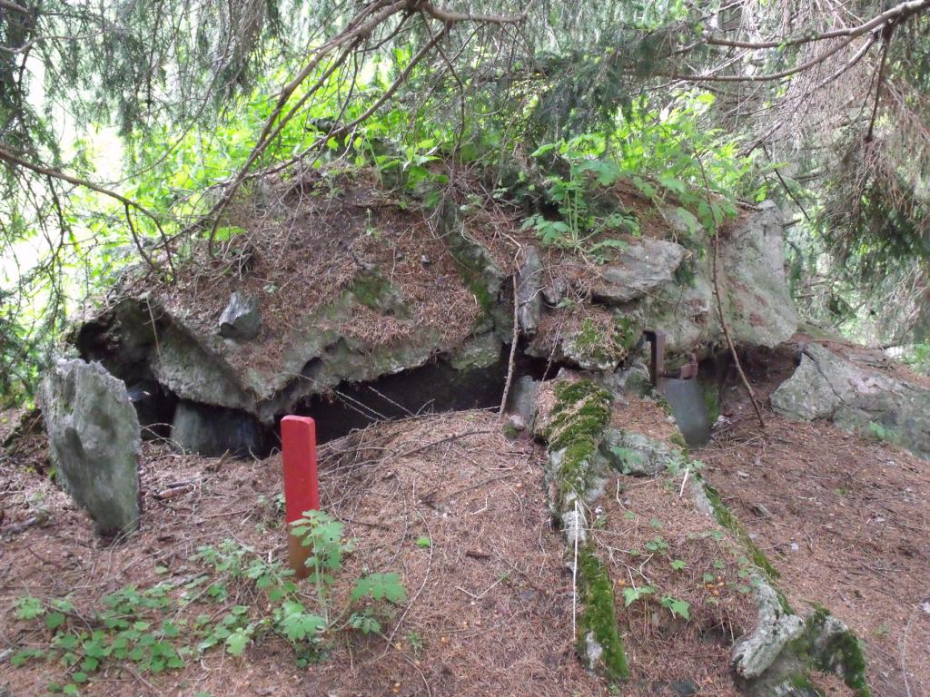 DSCF2538.JPG