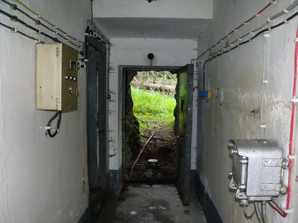 DSCF2596.JPG