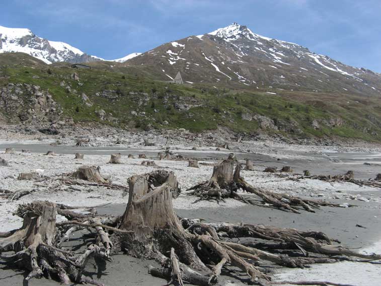 I resti del bosco di larici piantati dai monaci nel 1800 e raso al suolo dai tedeschi nel 1944