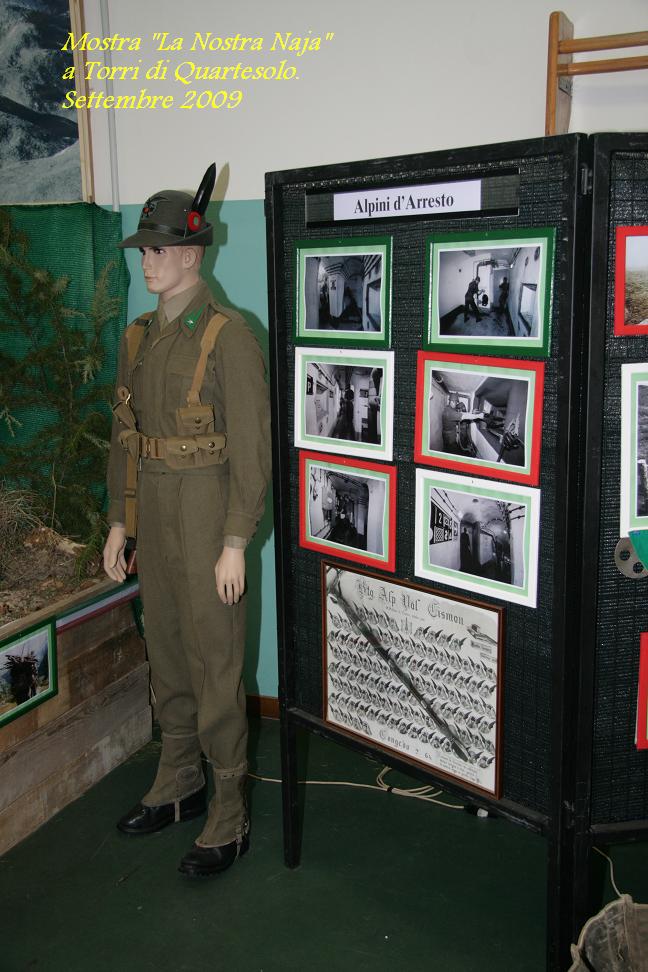 Mostra Torri di Quartesolo.JPG