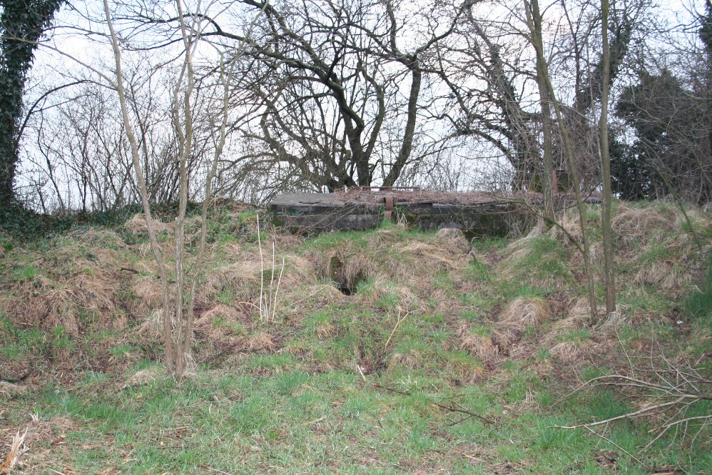 Immagine 009.jpg