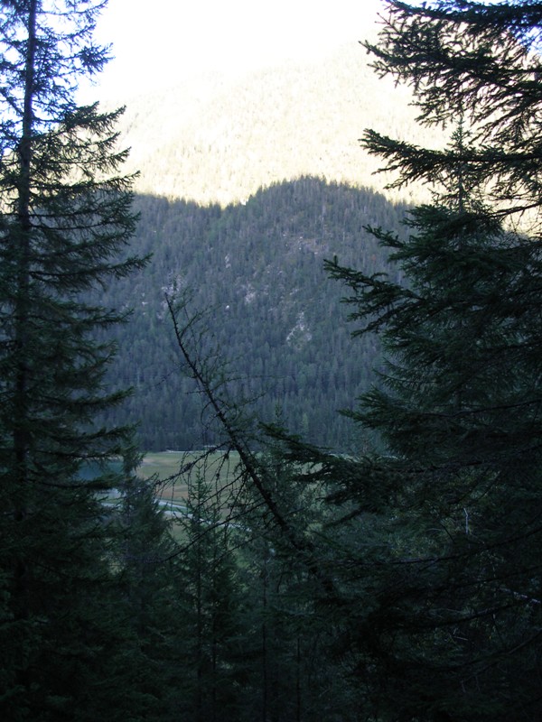 P9050310.JPG