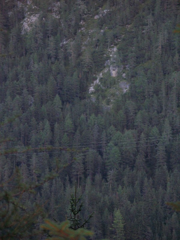 P9050311.JPG