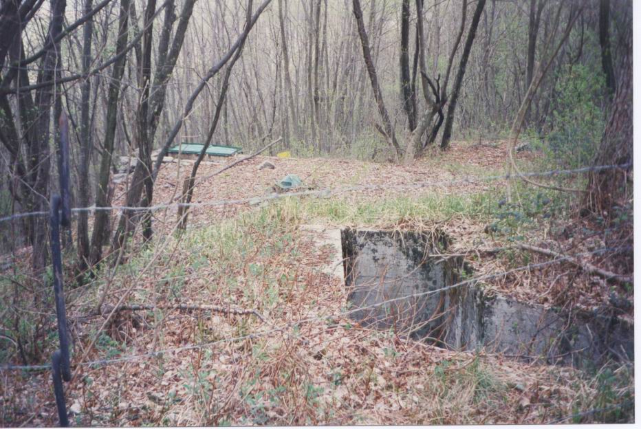 Immagine-20.jpg