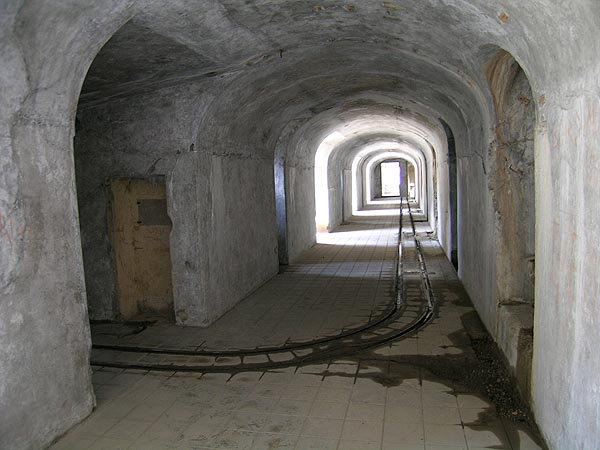 DSCN7921.jpg