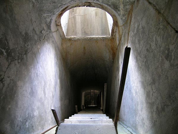DSCN7923.jpg