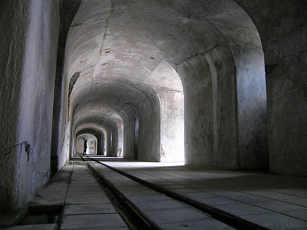 DSCN7939.jpg