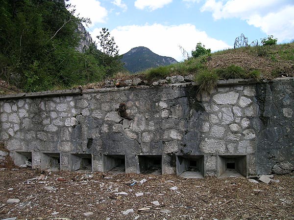 DSCN7948.jpg