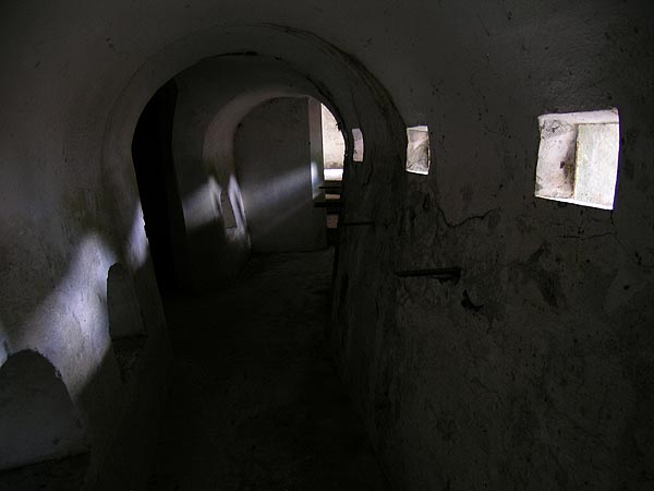 DSCN7965.jpg