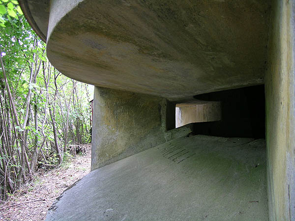 DSCN7994.jpg