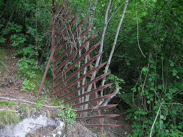 DSCN7996.jpg
