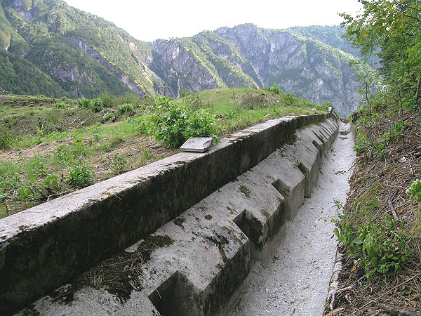 DSCN8000.jpg
