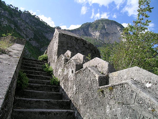 DSCN8016.jpg